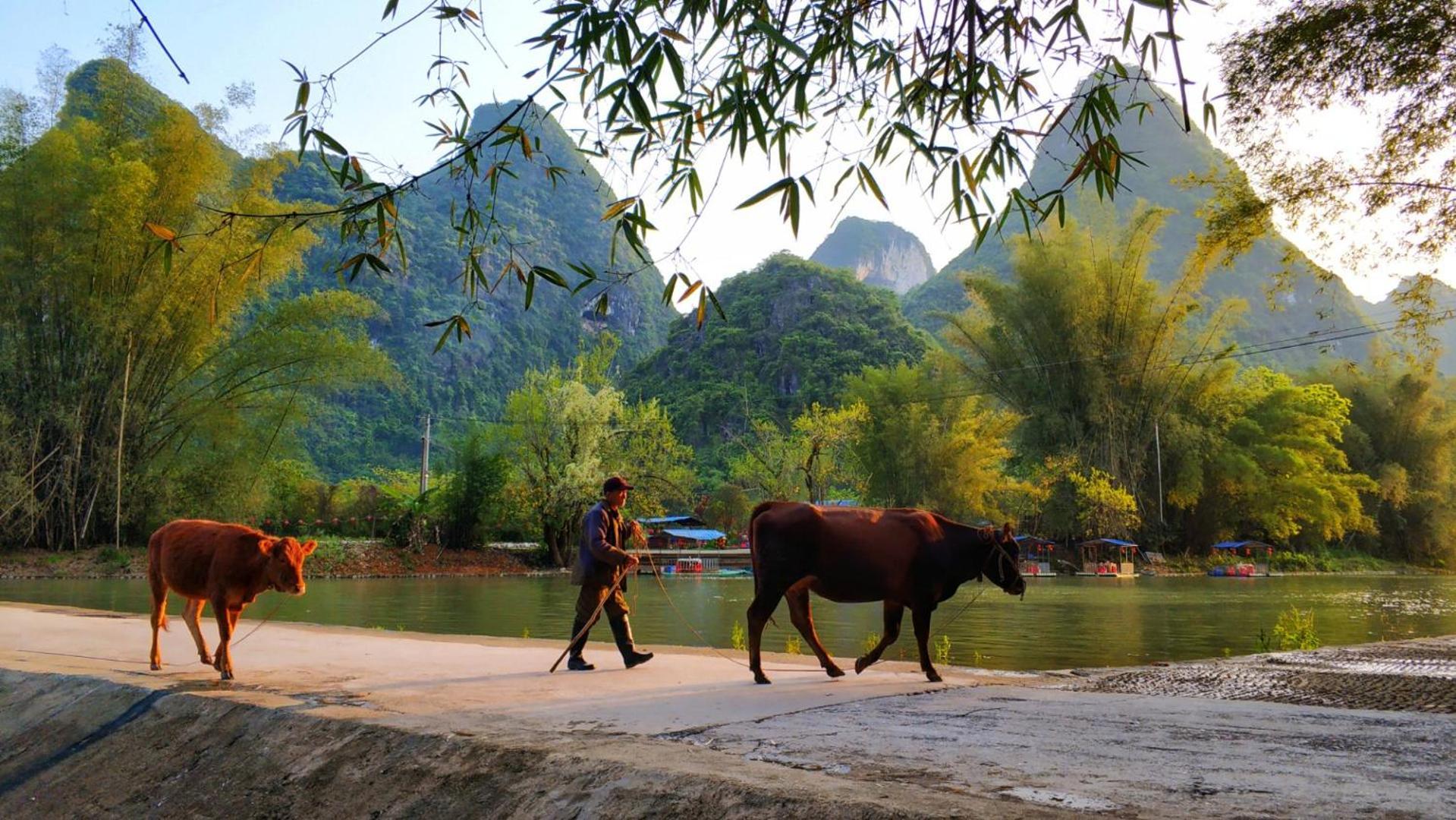 Moondance Boutique Resort Yangshuo Eksteriør billede